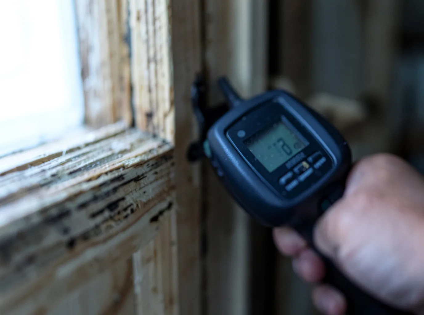 Moisture Inspection And Documentation in Weston, PA